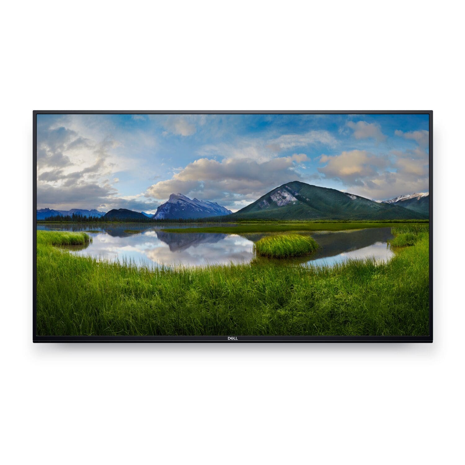 Dell C5519Q 55-inch conference monitor refurbished (A)