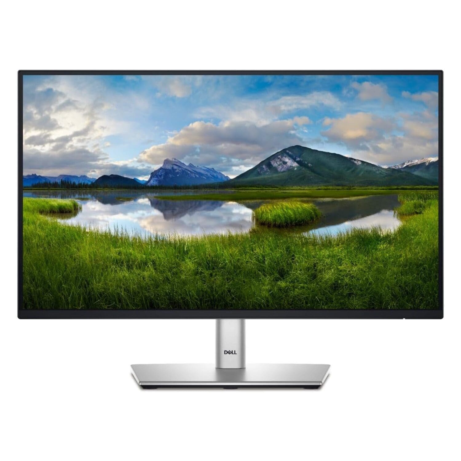 Dell P2425H 24" Monitor — front view